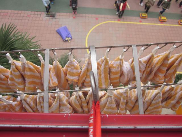 郑州市实验幼儿园郑上路分园环境创设照片