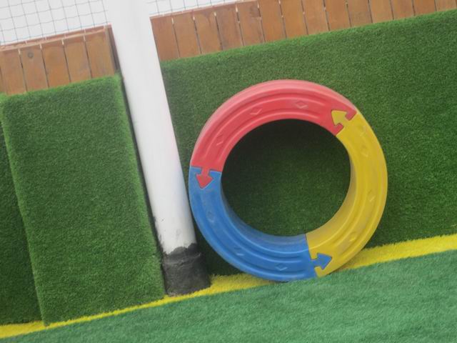 郑州市实验幼儿园郑上路分园环境创设照片
