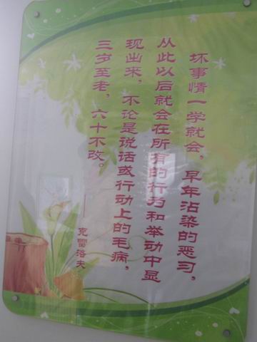 郑州市实幼南阳路分园环境创设照片