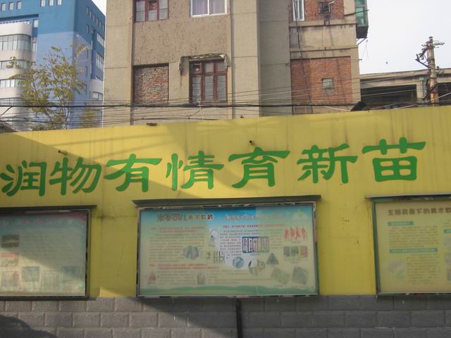 郑州市实幼南阳路分园环境创设照片
