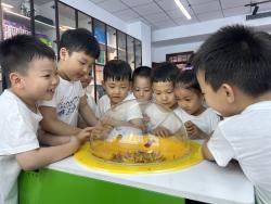 童心探小学 筑梦向未来